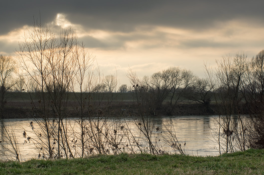 Sava u veljači