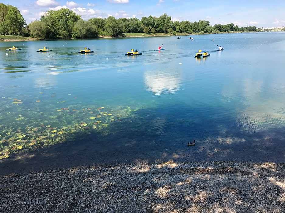 Veslači na Jarunu