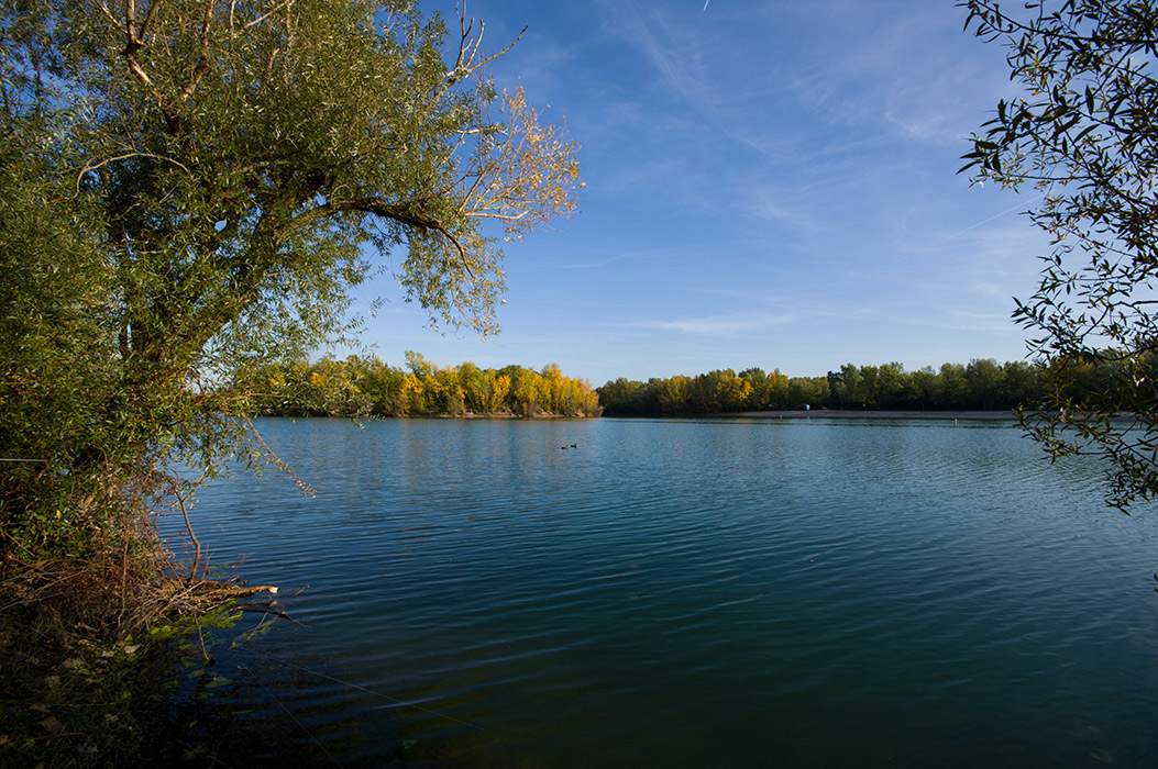 Lake Jarun