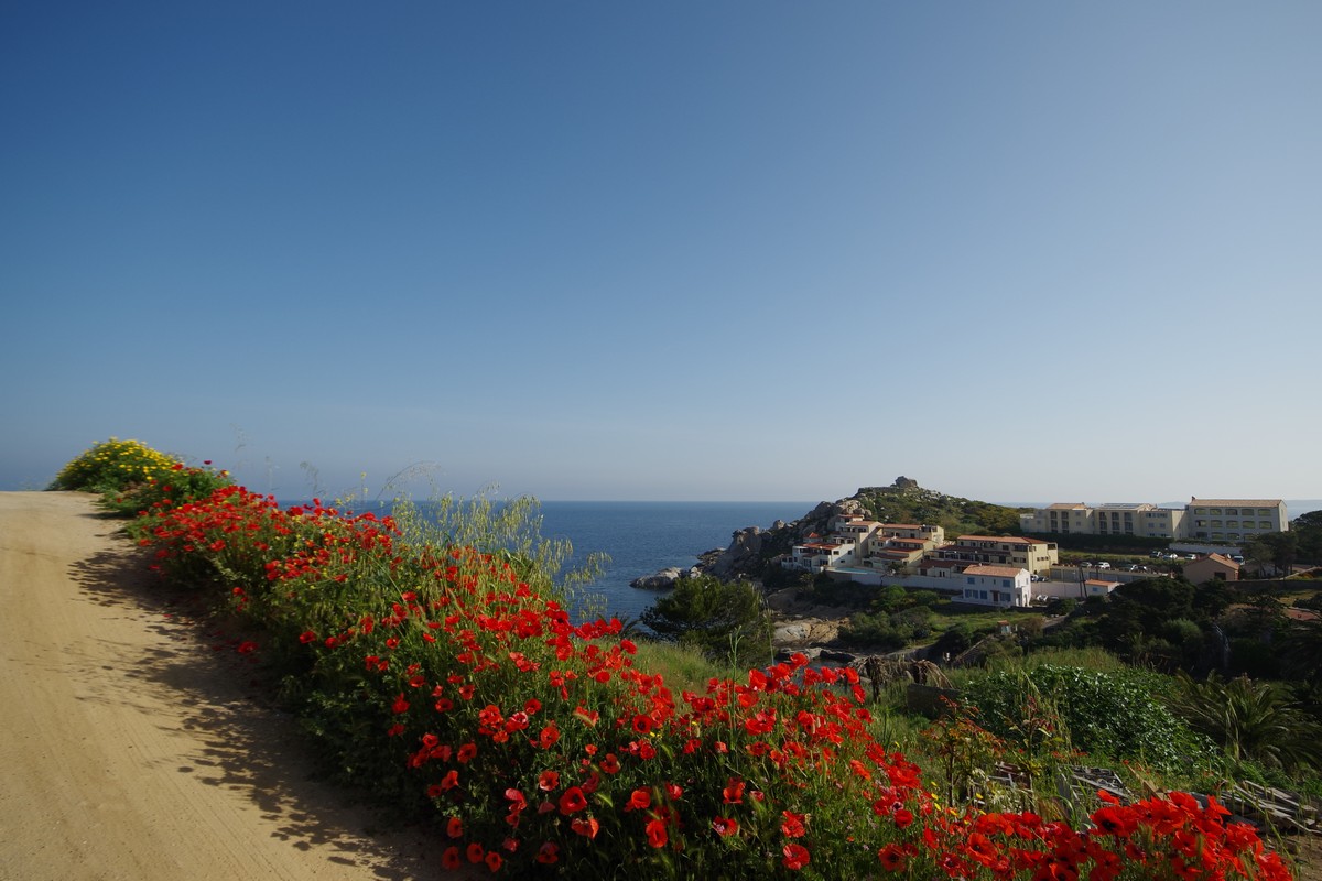 Corsica & Sardinia