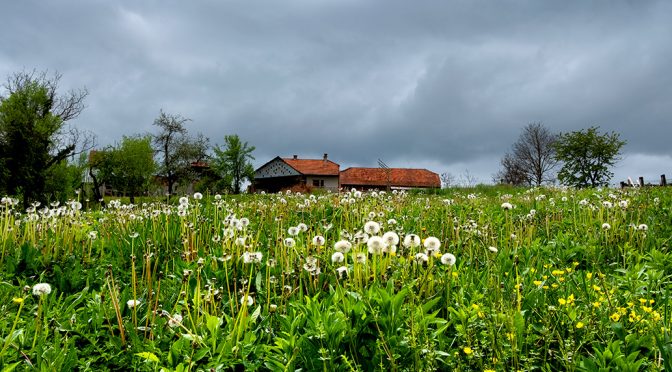 Početkom svibnja 2021.