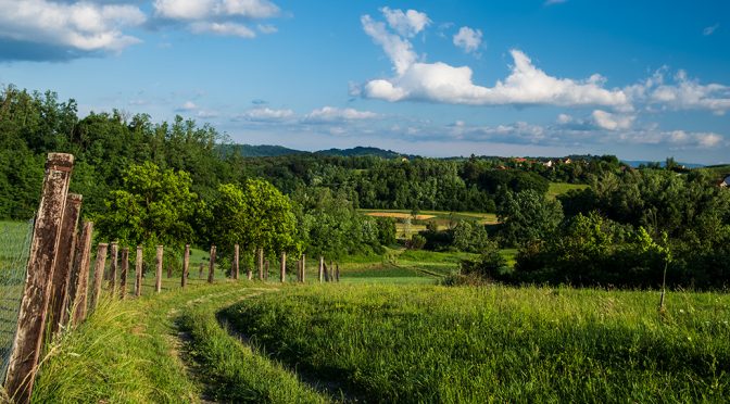 Putom u polje