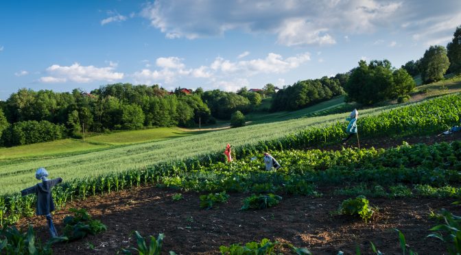 Landscape with scarecrows