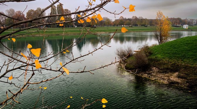 Jezero Jarun